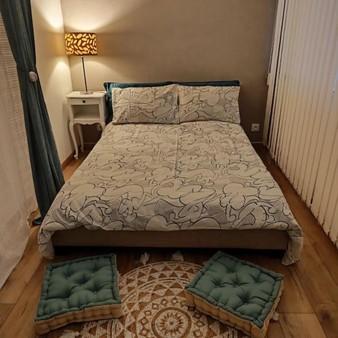 Superbe Cosy Duplex Appartement T3 Charpenne Tete D'Or Avec Parking Prive Gratuit Villeurbanne Extérieur photo
