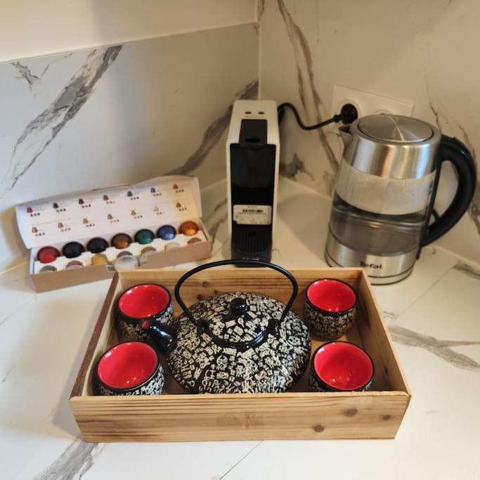Superbe Cosy Duplex Appartement T3 Charpenne Tete D'Or Avec Parking Prive Gratuit Villeurbanne Extérieur photo