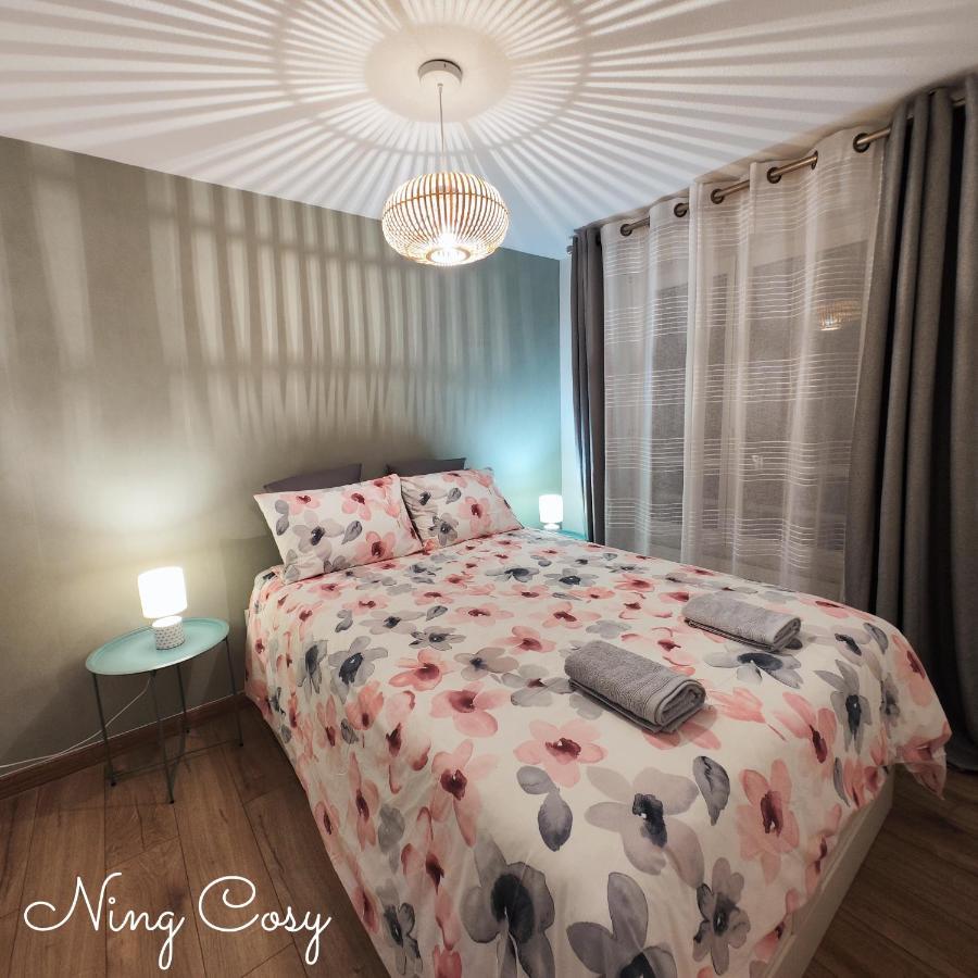 Superbe Cosy Duplex Appartement T3 Charpenne Tete D'Or Avec Parking Prive Gratuit Villeurbanne Extérieur photo