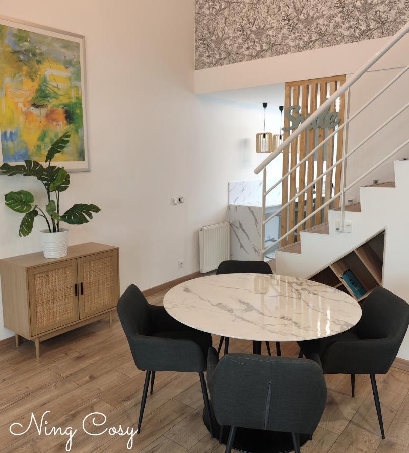 Superbe Cosy Duplex Appartement T3 Charpenne Tete D'Or Avec Parking Prive Gratuit Villeurbanne Extérieur photo
