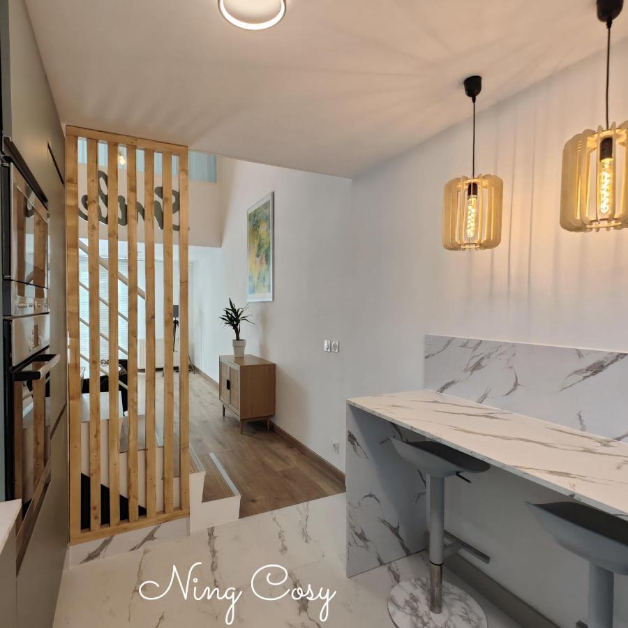 Superbe Cosy Duplex Appartement T3 Charpenne Tete D'Or Avec Parking Prive Gratuit Villeurbanne Extérieur photo