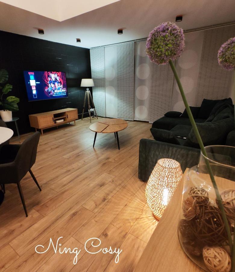 Superbe Cosy Duplex Appartement T3 Charpenne Tete D'Or Avec Parking Prive Gratuit Villeurbanne Extérieur photo
