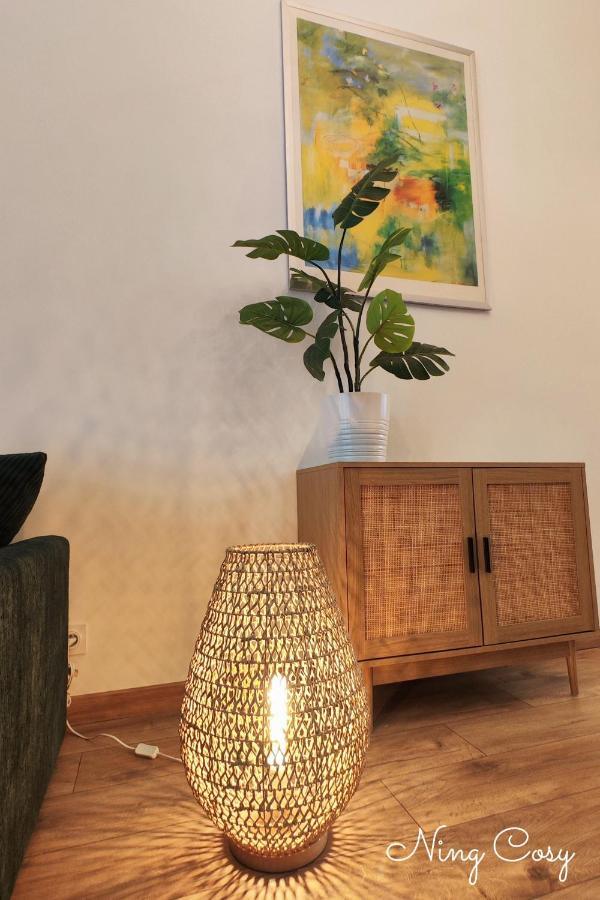 Superbe Cosy Duplex Appartement T3 Charpenne Tete D'Or Avec Parking Prive Gratuit Villeurbanne Extérieur photo