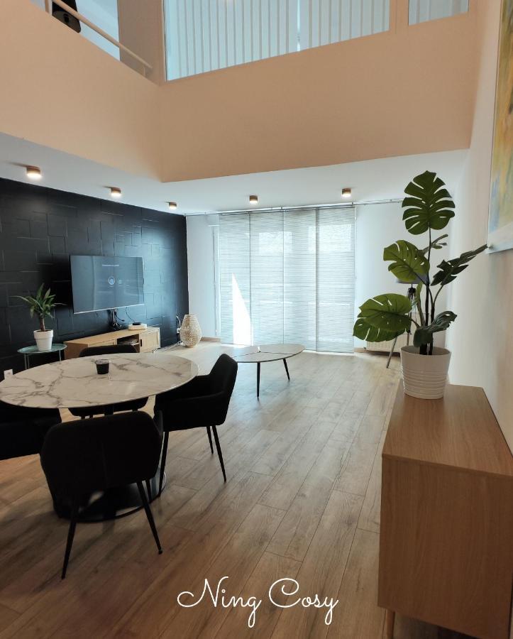 Superbe Cosy Duplex Appartement T3 Charpenne Tete D'Or Avec Parking Prive Gratuit Villeurbanne Extérieur photo